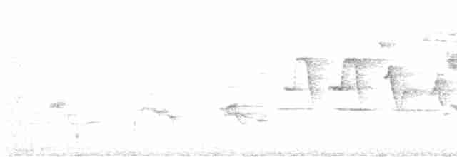 Oriole des vergers - ML618477515