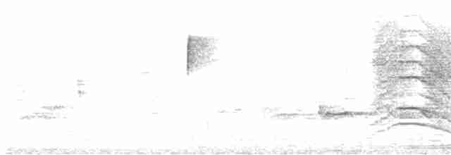 Gray Catbird - ML618477597
