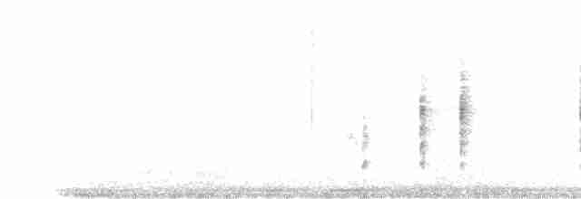 Mosquitero de Schwarz - ML618477620