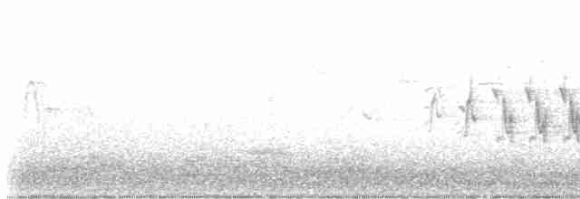 Common Chaffinch - ML618478001