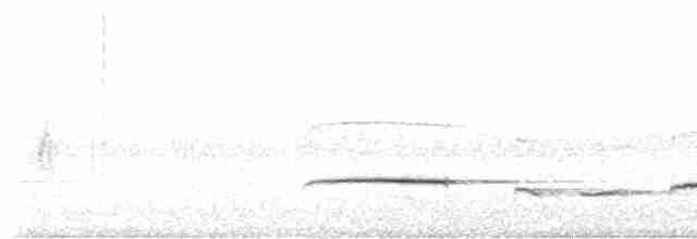 Kestane Karınlı Guguk - ML618478394