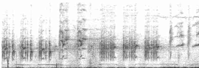 Great Reed Warbler - ML618479151