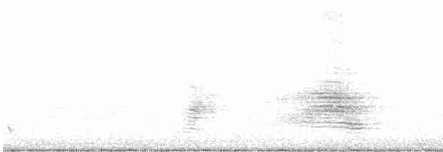 Блестящая миагра - ML618479241