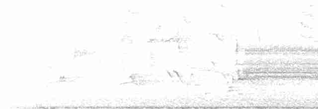 Речной певун - ML618480235