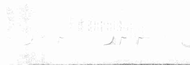 Common Chaffinch - ML618480340