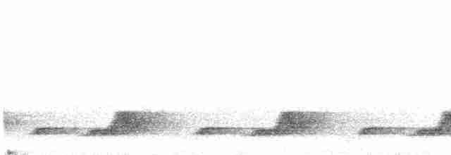 Schwarzkehl-Nachtschwalbe - ML618480563