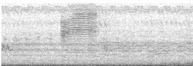 黃頭扇尾鶯 - ML618481215