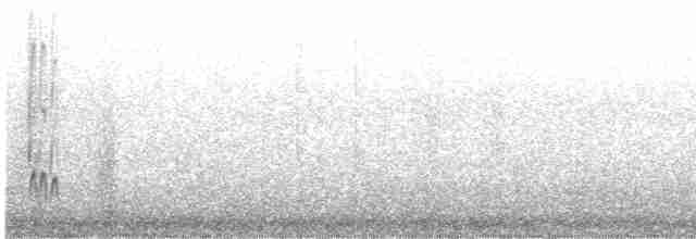 Weißstirn-Regenpfeifer - ML618481264