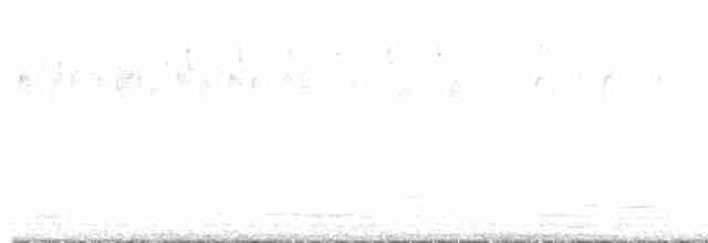 kormorán pestrý - ML618481621