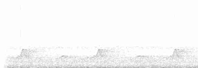 Schwarzkehl-Nachtschwalbe - ML618481649