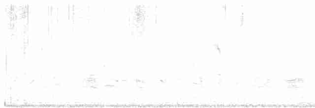 黑腹燕鷗 - ML618482780