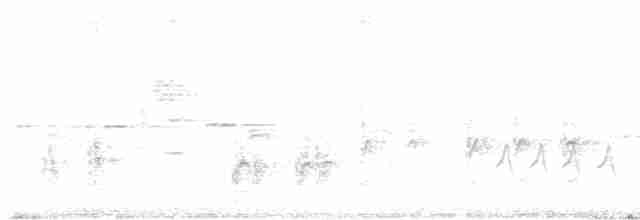 Great Reed Warbler - ML618482792
