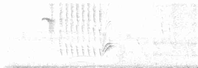 Geniş Gagalı Kolibri - ML618483133