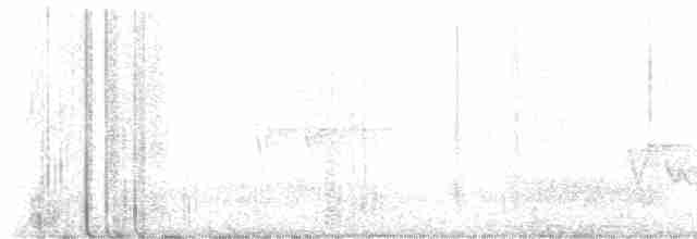 Hooded Warbler - ML618483529