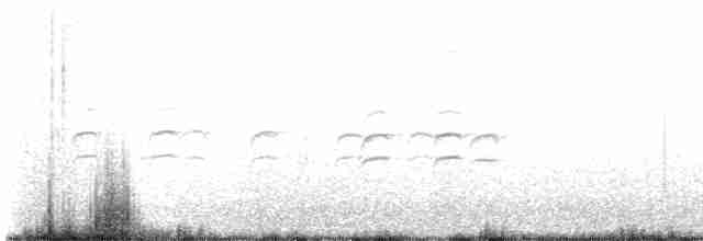 křivka bělokřídlá - ML618483574