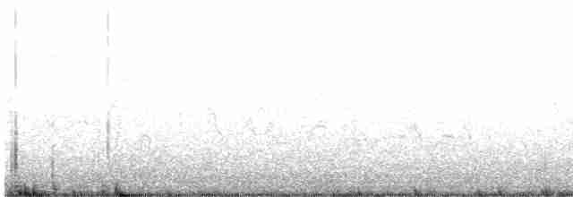 Carouge à épaulettes (groupe phoeniceus) - ML618483802