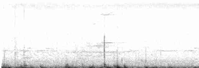 vlhovec červenokřídlý [skupina phoeniceus] - ML618483856