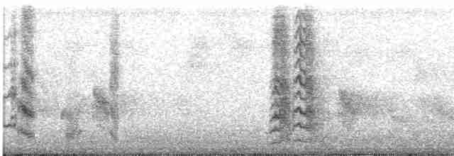 Сибирский жулан (lucionensis) - ML618483893
