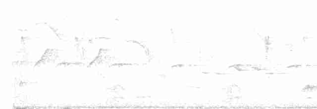 Gök Sakallı Arıkuşu - ML618484971