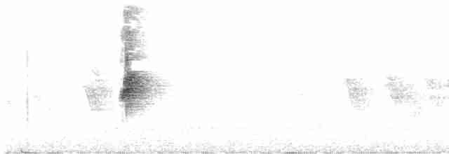 Chihuahuan Meadowlark - ML618485953