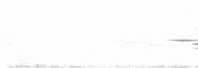 Белохвостая индига - ML618486462