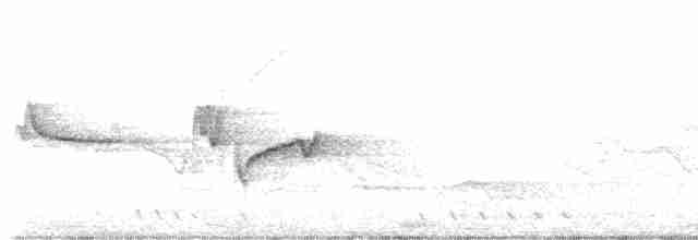 黃胸藪眉 - ML618486552