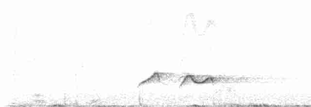 Белоусая кустарница - ML618486601