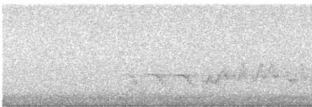 Красногрудый дятел-сокоед - ML618486983