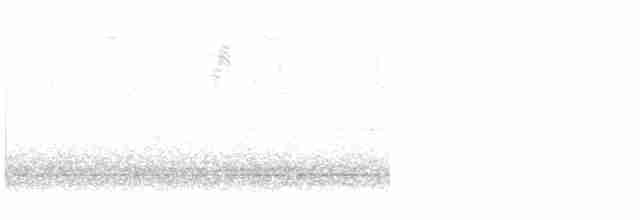 lesňáček černobílý - ML618488168