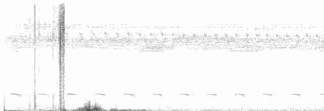 trogon podvazkový - ML618489271