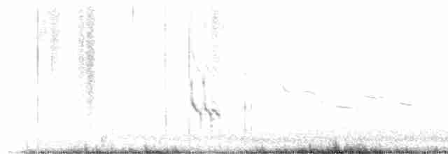 kortnebbekkasinsnipe - ML618490213