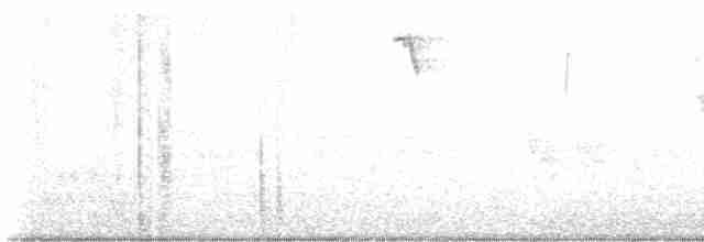 White-eyed Vireo - ML618490300