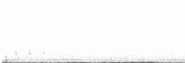 holub hřivnáč - ML618491446