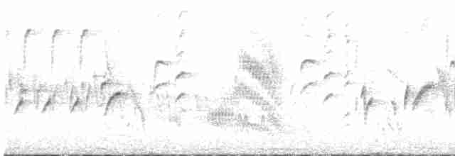 "Канарский вьюрок, дикая канарейка" - ML618491559