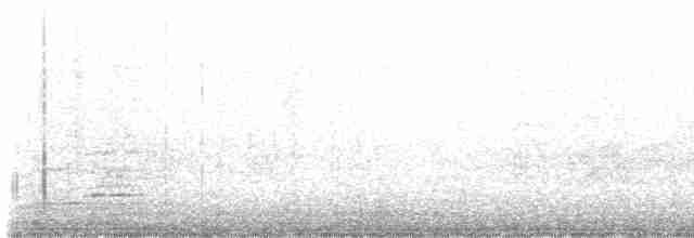 Aratinga Ojiblanca - ML618491574