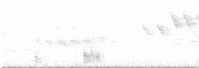 Buztanikara horia - ML618491603