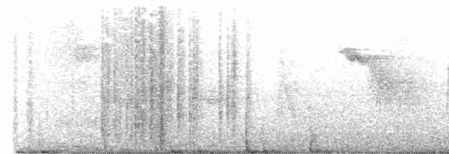Blyth's Reed Warbler - ML618493087
