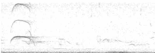 Бледногорлый миарх - ML618493156