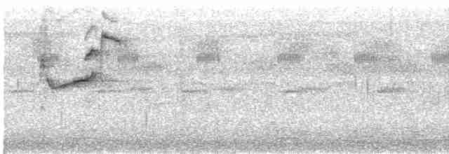 Ошейниковая нектарница - ML618493234