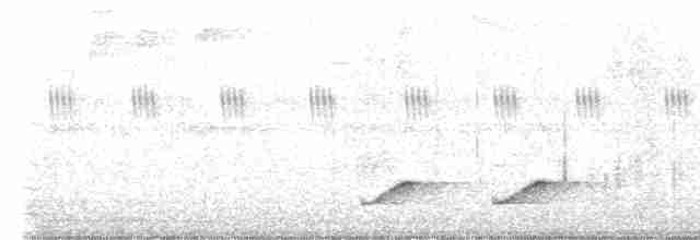 Uzun Gagalı Çıtkuşu - ML618493467