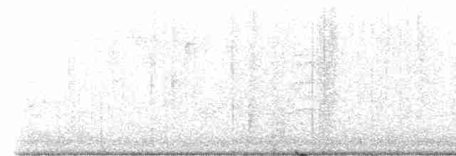 Paruline à calotte noire - ML618493891