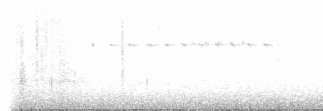 Ak Kanatlı Alev Karıncakuşu - ML618494098