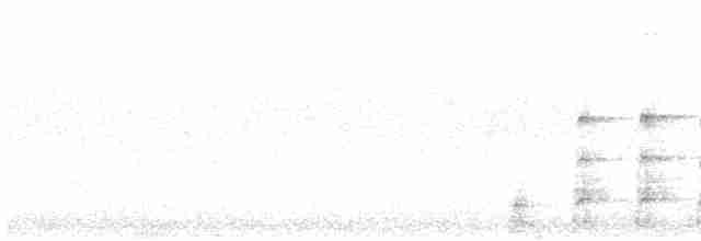 Turuncu Gagalı Boynuzgaga - ML618494561