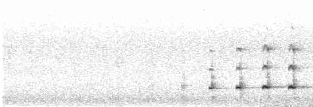 Turuncu Gagalı Boynuzgaga - ML618494592