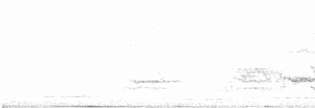 Александрийский попугай - ML618494821