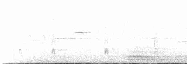 strakapoud bělohřbetý - ML618494899