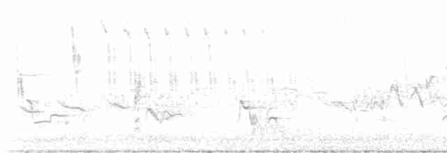 Тростниковый крапивник - ML618495824