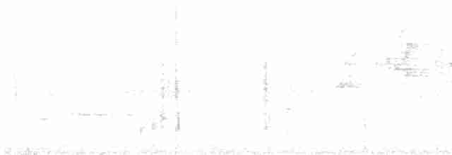 Weißbürzelschama - ML618496000