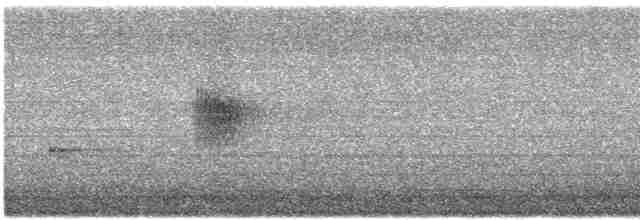 Kuzeyli Sert Kanatlı Kırlangıç - ML618496057