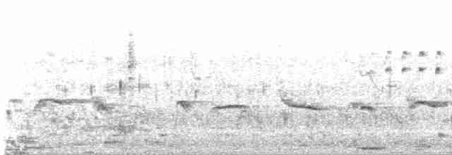 Малабарская долгохвостка - ML618496163